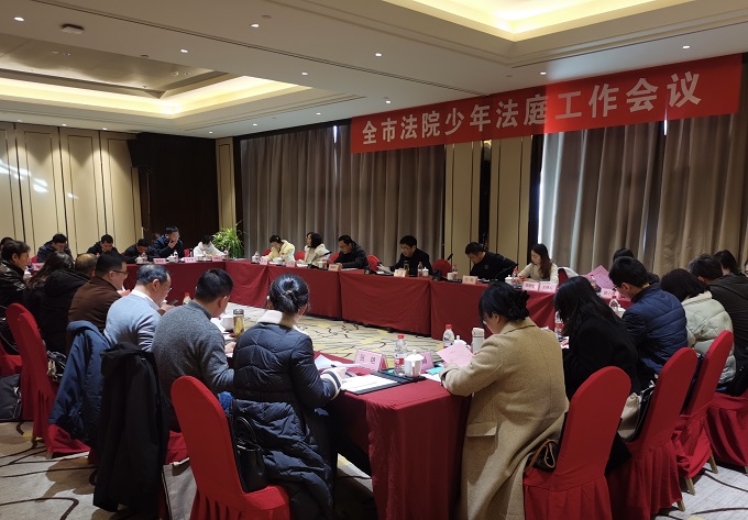 芜湖中院组织召开全市法院少年法庭工作会议